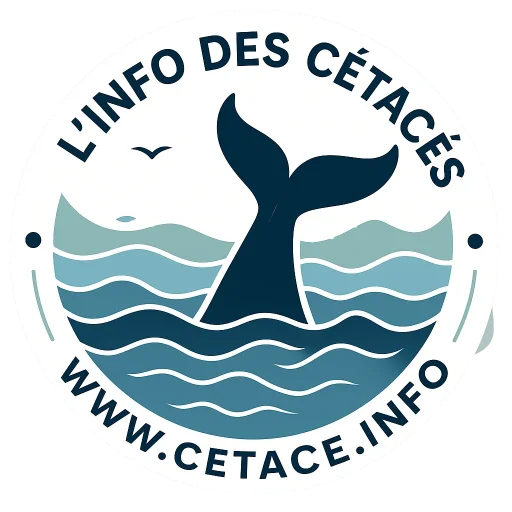 Cetace : L'info des cétacés